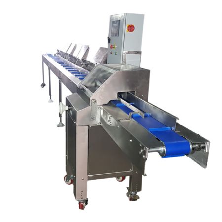 KPH-AA10 - Sandwich Cutting and Filling Line Machine | Kopuz Machinery